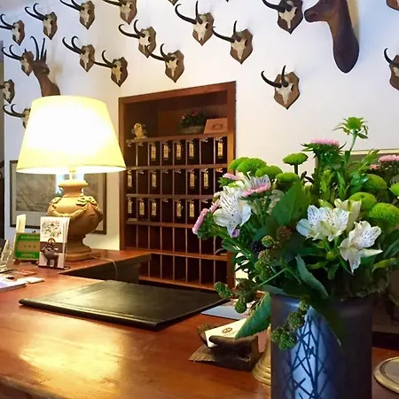 Dei Camosci Courmayeur